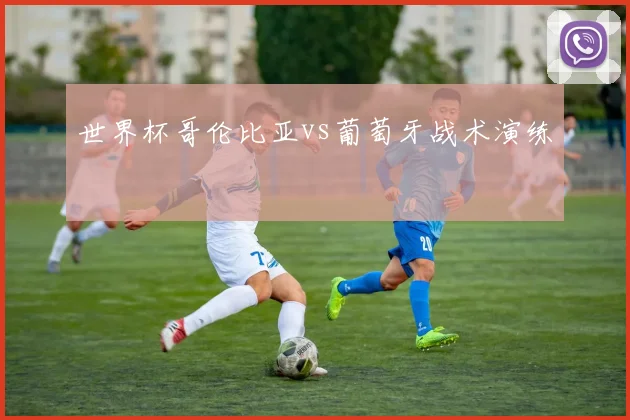 世界杯哥伦比亚vs葡萄牙战术演练