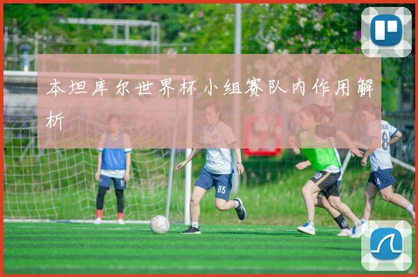 本坦库尔世界杯小组赛队内作用解析