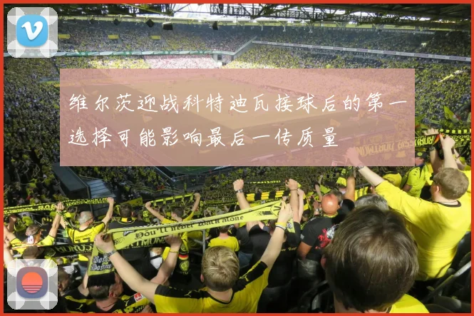 维尔茨迎战科特迪瓦接球后的第一选择可能影响最后一传质量