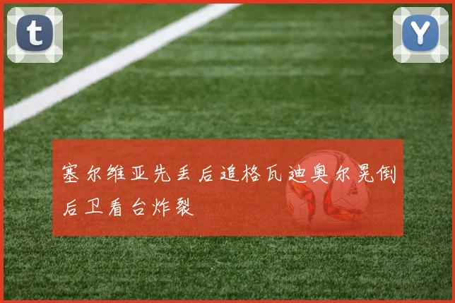 塞尔维亚先丢后追格瓦迪奥尔晃倒后卫看台炸裂