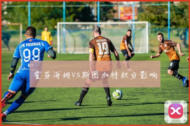 霍芬海姆vs斯图加特积分影响