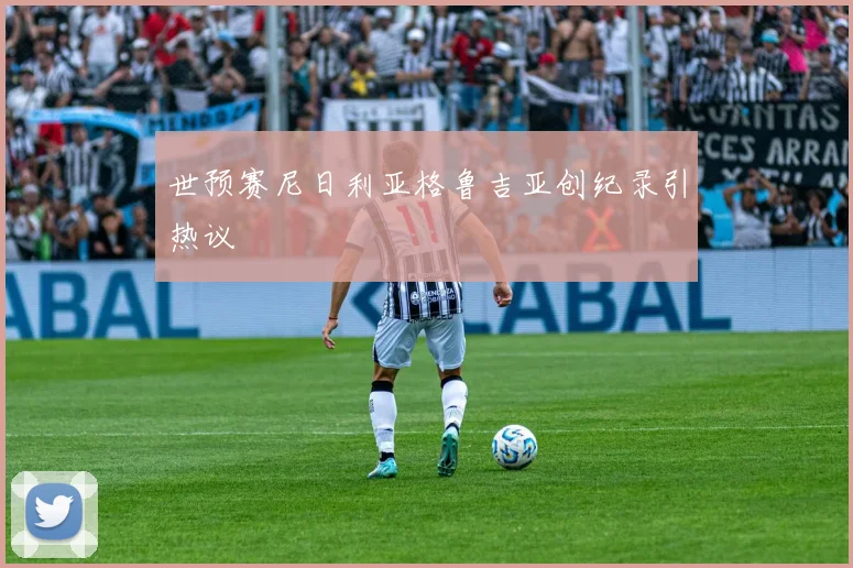 世预赛尼日利亚格鲁吉亚创纪录引热议