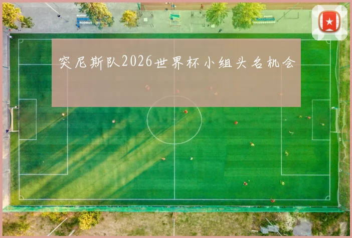 突尼斯队2026世界杯小组头名机会