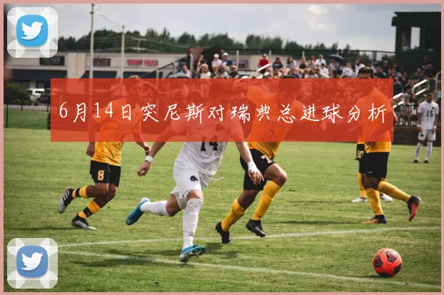 6月14日突尼斯对瑞典总进球分析