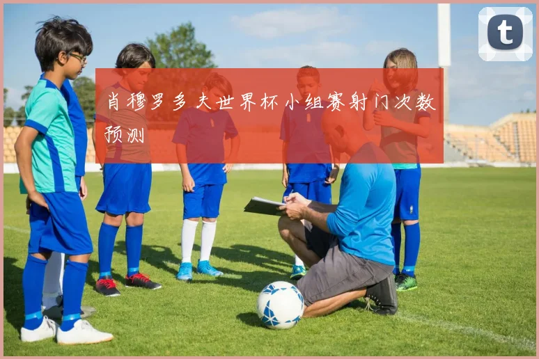 肖穆罗多夫世界杯小组赛射门次数预测