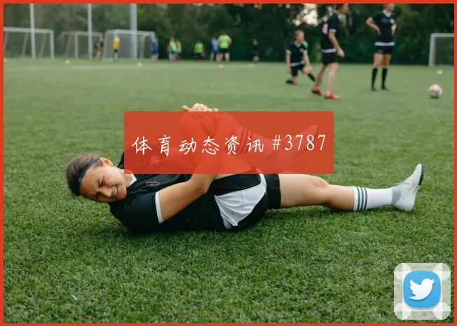 2026世界杯巴拉圭土耳其赛前赔率提醒